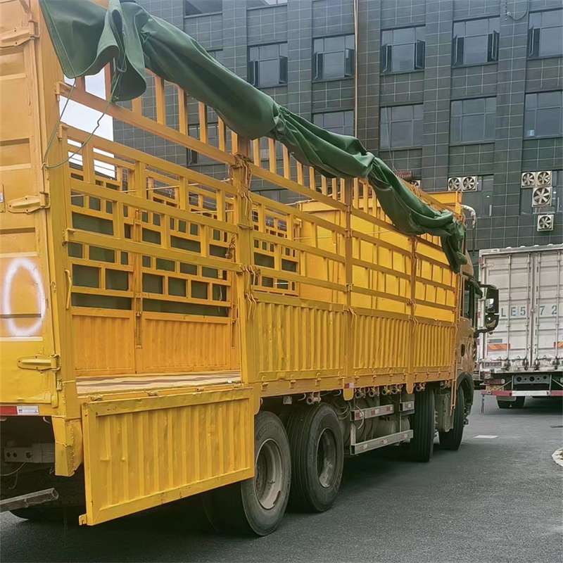 滴道区灵璧县物流运输：多元服务与高效线路探秘